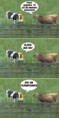 /album/fotogaleria/vacas-paco-tu-estas-muy-borracho-no-soy-un-transformer-jpg/